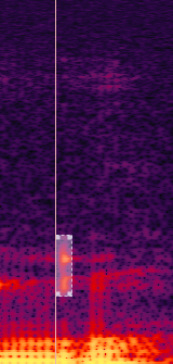 Selecting and removing mouth click manually in Adobe Audition spectrogram